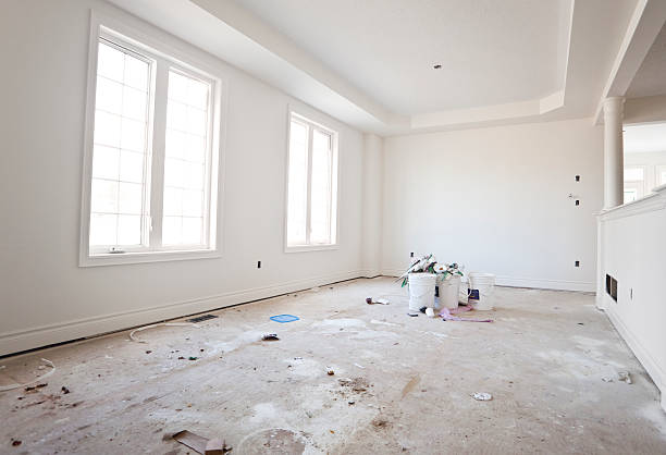 Trusted Beacon Hill, WA Mold Removal Experts