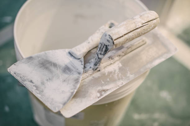 Best Forensic Mold Investigation  in Beacon Hill, WA