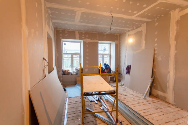 Best Basement Mold Removal  in Beacon Hill, WA